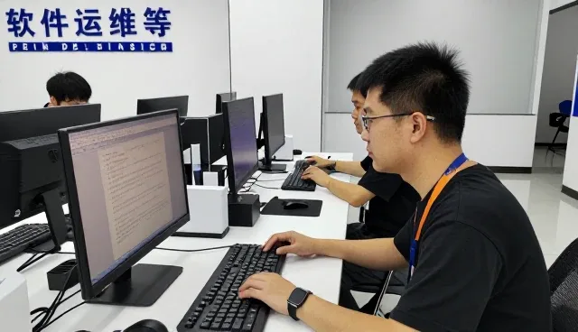 定制开发服务帮助化方案提升服务能力